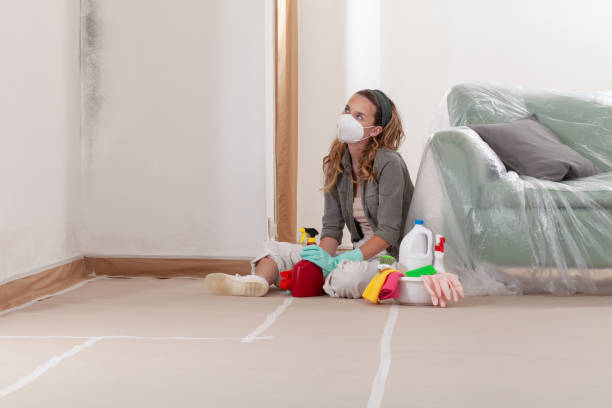 Reliable Mold Cleanup contractor in Alanson, MI by WQB Mold Removal